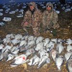 Here is another successful late February snow goose hunt in Missouri.