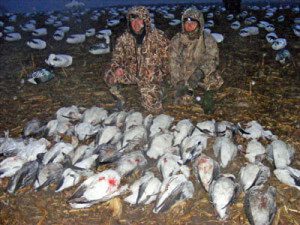 Here is another successful late February snow goose hunt in Missouri.