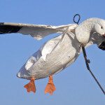 Snow goose flyers are a very effective tool.