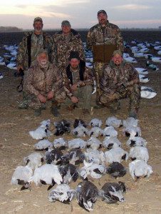 Snow goose hunting Missouri