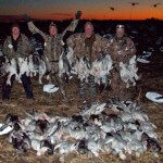 I've said February was very good this year. Here is another group of hunters with a large day in the snow goose field.