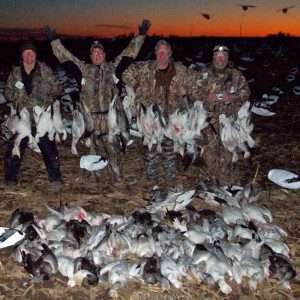 I've said February was very good this year. Here is another group of hunters with a large day in the snow goose field.