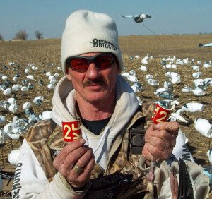Here is Up North Outdoors guide Curt Schrader. Curt rarely leaves the field even when the hunters break for lunch. This day his hunters returned from lunch just in time to watch from the field drive as Curt shot this red neck collar on a blue goose for a migrating flock of snow geese. Although the middle of the day can be slow a few close working migrating snow goose flocks can add a lot of birds to the day’s total. The neck collar was shot off and it took several minutes of searching to find both halves.