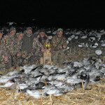Here is a successfull Missouri snow goose hunt