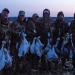 These hunters were happy with an average snow goose hunt. It's more than a limit of Canada geese back home.
