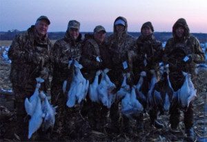 These hunters were happy with an average snow goose hunt. It's more than a limit of Canada geese back home.