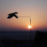 Deadly Decoy™ snow goose flyer with a scenic sunset.