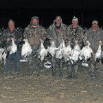 Lesser snow geese