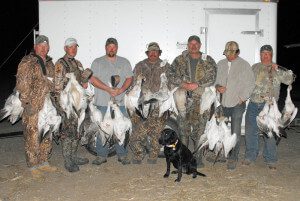 Missouri snow goose hunting