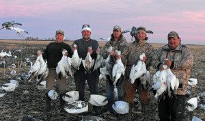 spring snow goose migration.