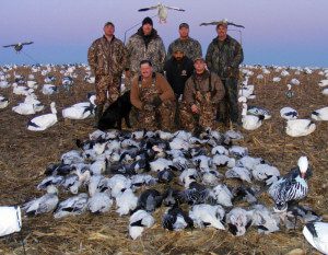 Another big February snow goose hunt.