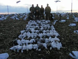 Here is our best day guided hunt for 2012. These hunters harvested 119 snow geese on February 22, 2012.