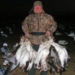 Game straps are straining under the load of these snow geese.