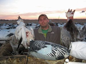 This hunter poses with some of the snow and blue geese he harvested.