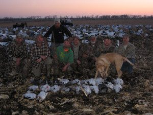 Average was as good as it got in South Dakota this year. This is not common but it’s what happened when the temperatures break record highs.