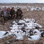 Nice day hunting snows.