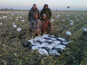 February snow goose hunt in Missouri