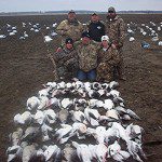Morning hunt for the Seros party. Another groups was moved in for an afternoon hunt...93 snows between the two groups with a two hour break between groups.