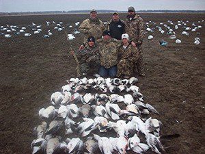 Morning hunt for the Seros party. Another groups was moved in for an afternoon hunt...93 snows between the two groups with a two hour break between groups.