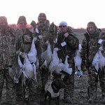 spring-snow-goose-hunt-2013-102