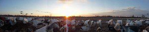 spring-snow-goose-hunt-2013-106