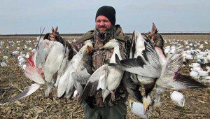 spring-snow-goose-hunt-2013-11