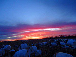 spring-snow-goose-hunt-2013-111