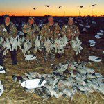 spring-snow-goose-hunt-2013-113