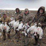 spring-snow-goose-hunt-2013-12