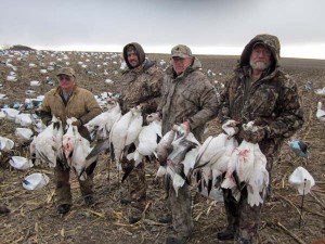 spring-snow-goose-hunt-2013-12