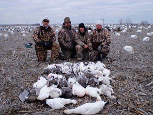 spring-snow-goose-hunt-2013-15