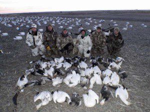 spring-snow-goose-hunt-2013-16