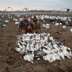 spring-snow-goose-hunt-2013-18