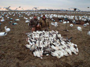 spring-snow-goose-hunt-2013-18