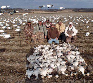 Another strong migration day in Missouri.