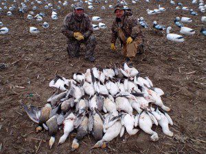 spring-snow-goose-hunt-2013-22