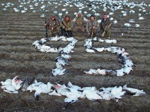 Strong push from the south on this Missouri snow goose hunt.