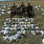 Arkansas snow goose hunting was excellent in 2013.