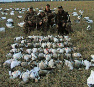 Arkansas snow goose hunting was excellent in 2013.