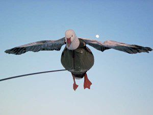 Flyer decoys are one of the keys to our success.