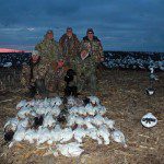 Missouri has some excellent snow goose hunting.