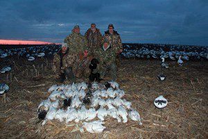 Missouri has some excellent snow goose hunting.