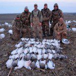 spring-snow-goose-hunt-2013-5