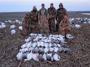 spring-snow-goose-hunt-2013-5
