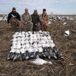 spring-snow-goose-hunt-2013-6
