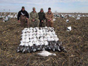 spring-snow-goose-hunt-2013-6