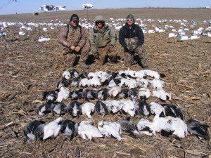 spring-snow-goose-hunt-2013-63