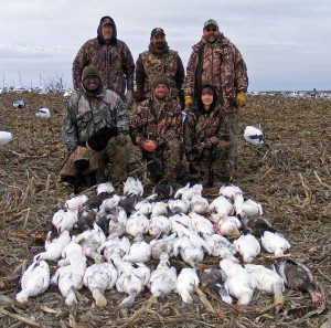 An above average Missouri snow goose hunt.