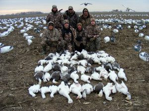 spring-snow-goose-hunt-2013-68