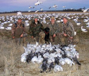 spring-snow-goose-hunt-2013-75